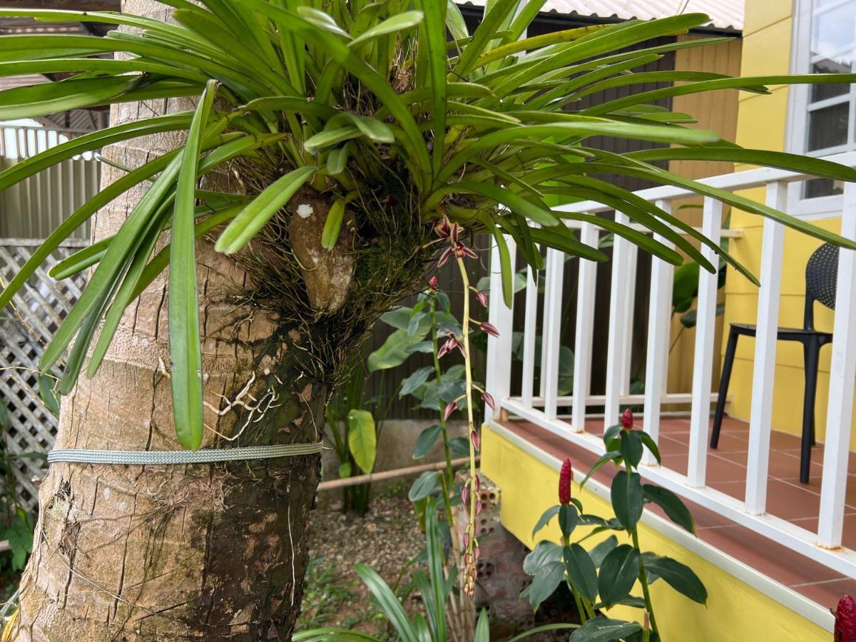 Appartement Tropical Garden Phu Quoc Extérieur photo
